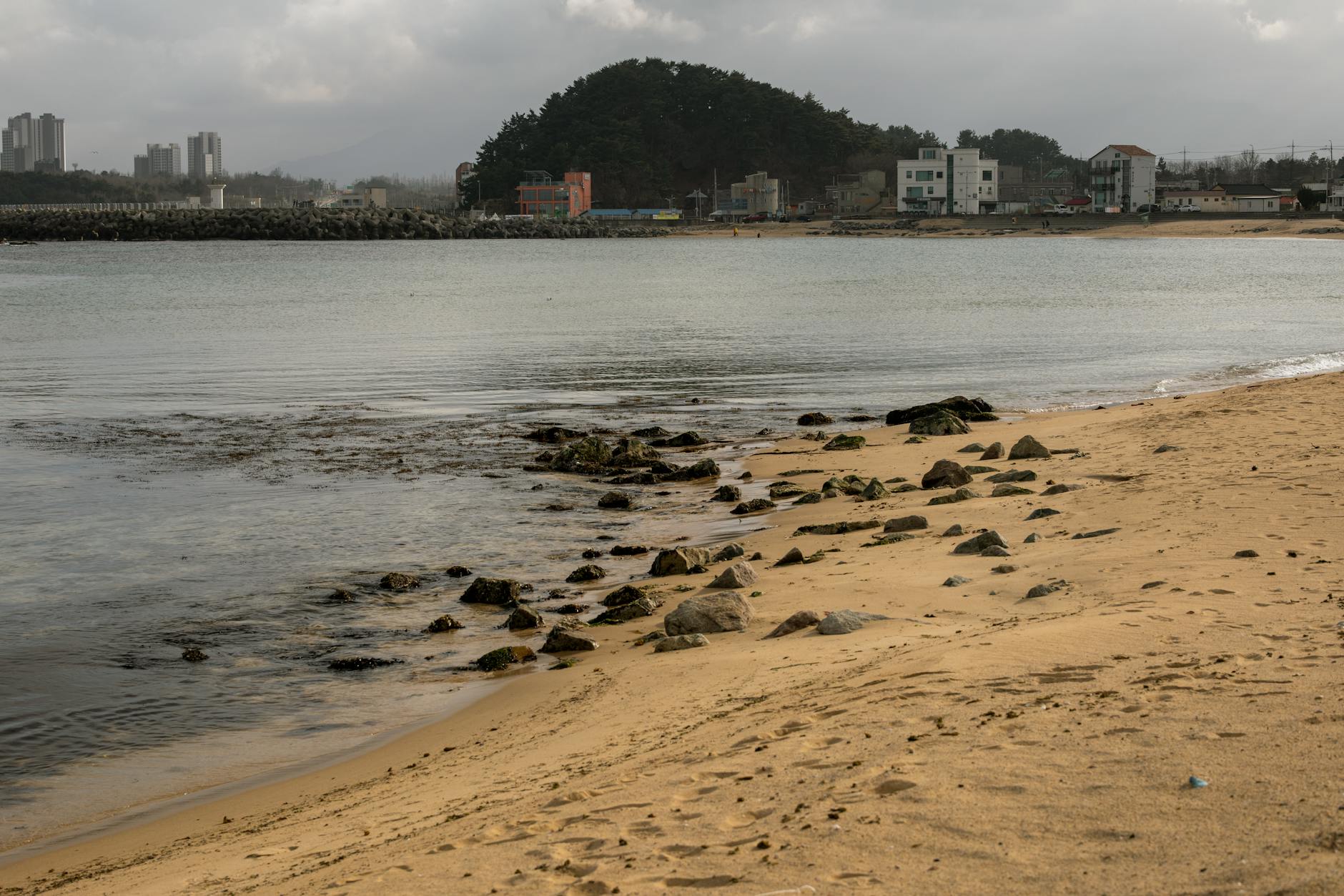 2019용인대 푸른등대 삼성sos장학금 신청