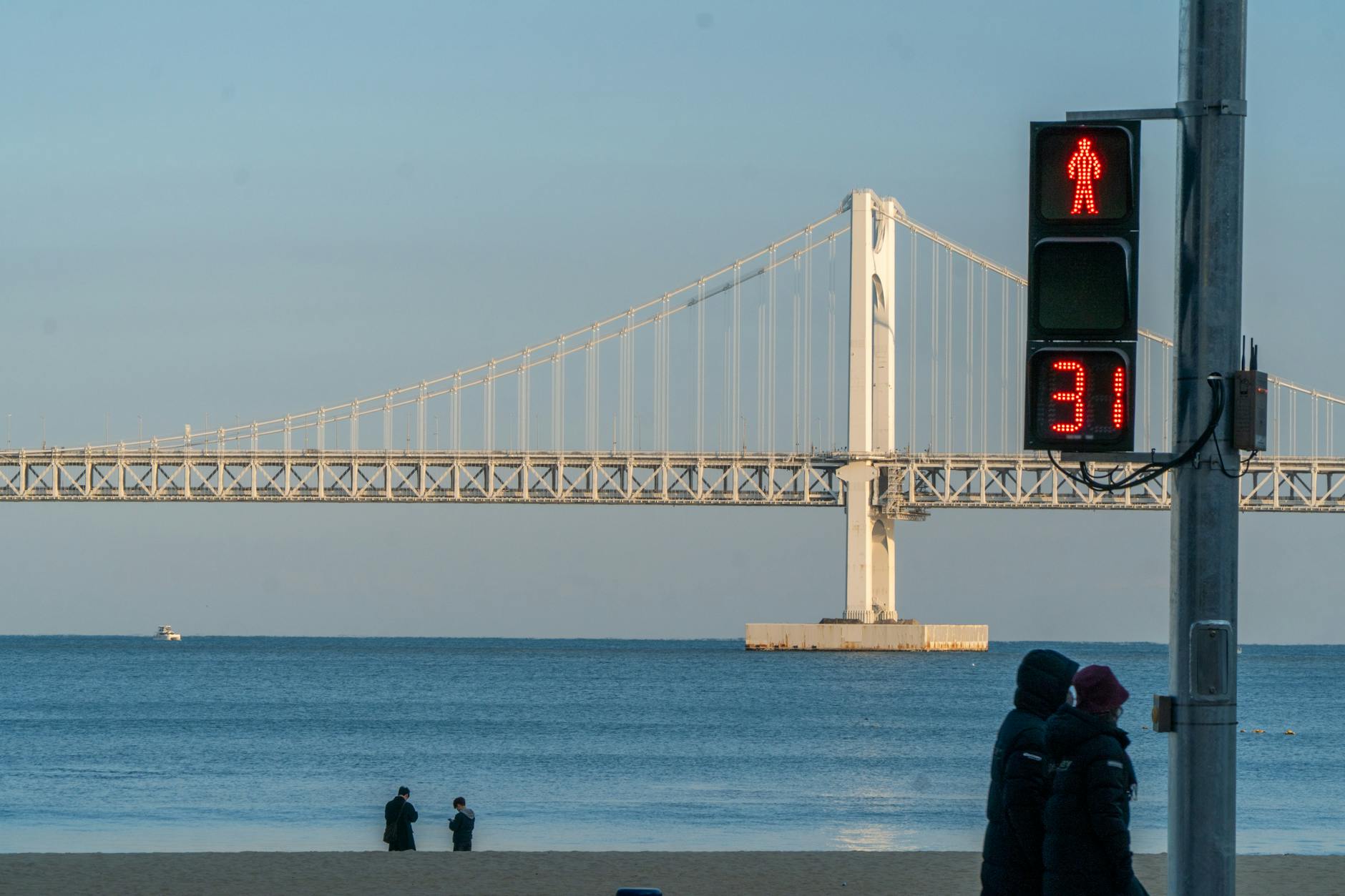 한국해양대학교 부산대학교 도서관 이용증 신청
