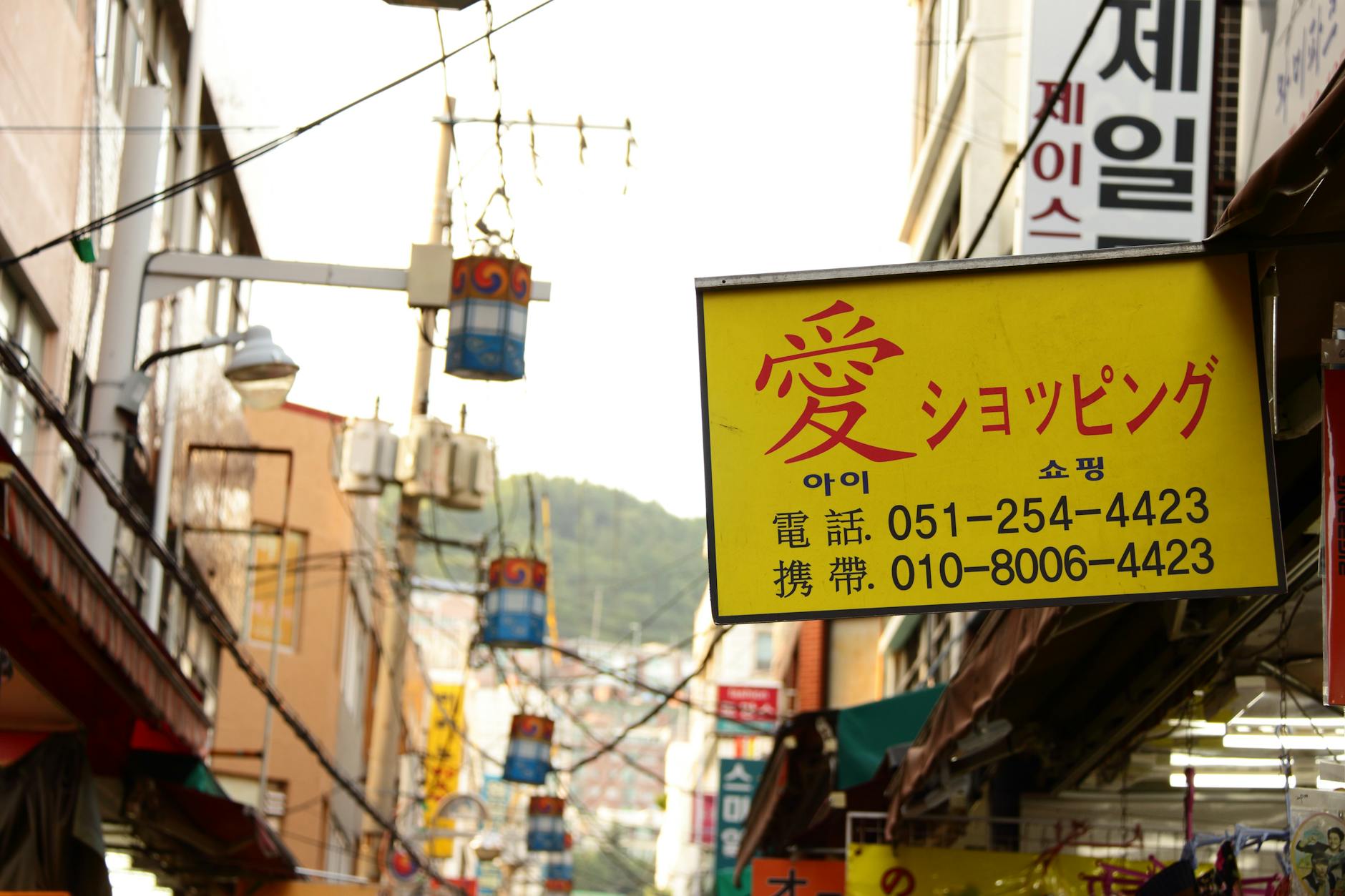 사실조회 신청 전화번호 모를때