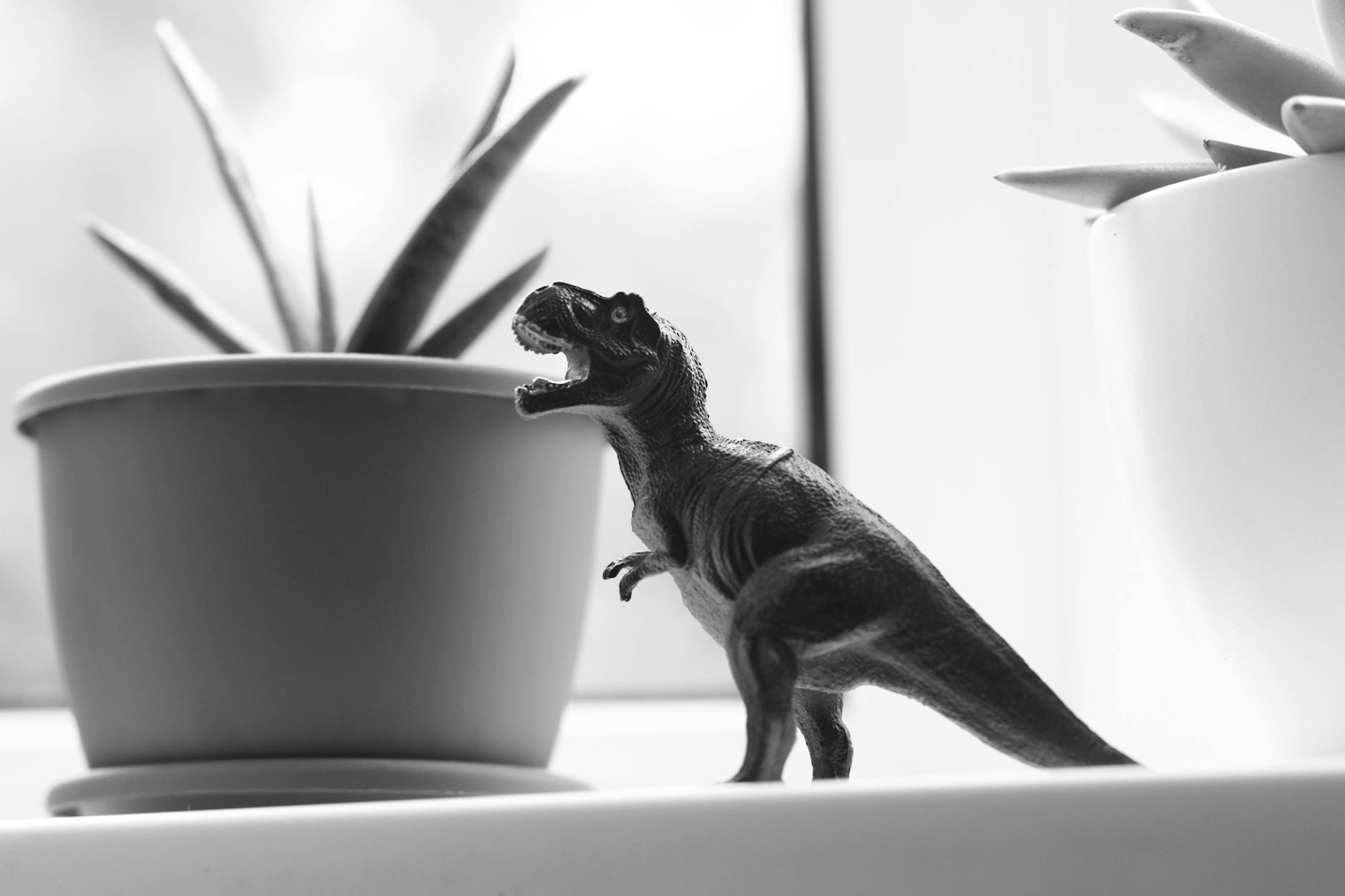 서울대학교 청강 신청