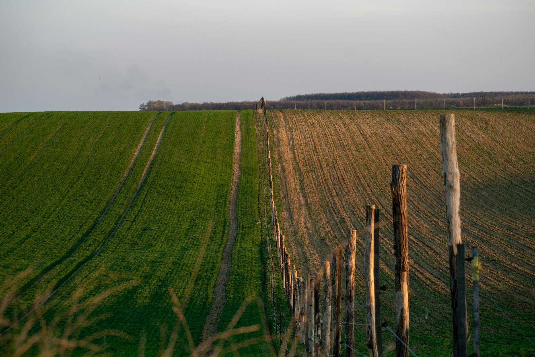 토지 분할 신청