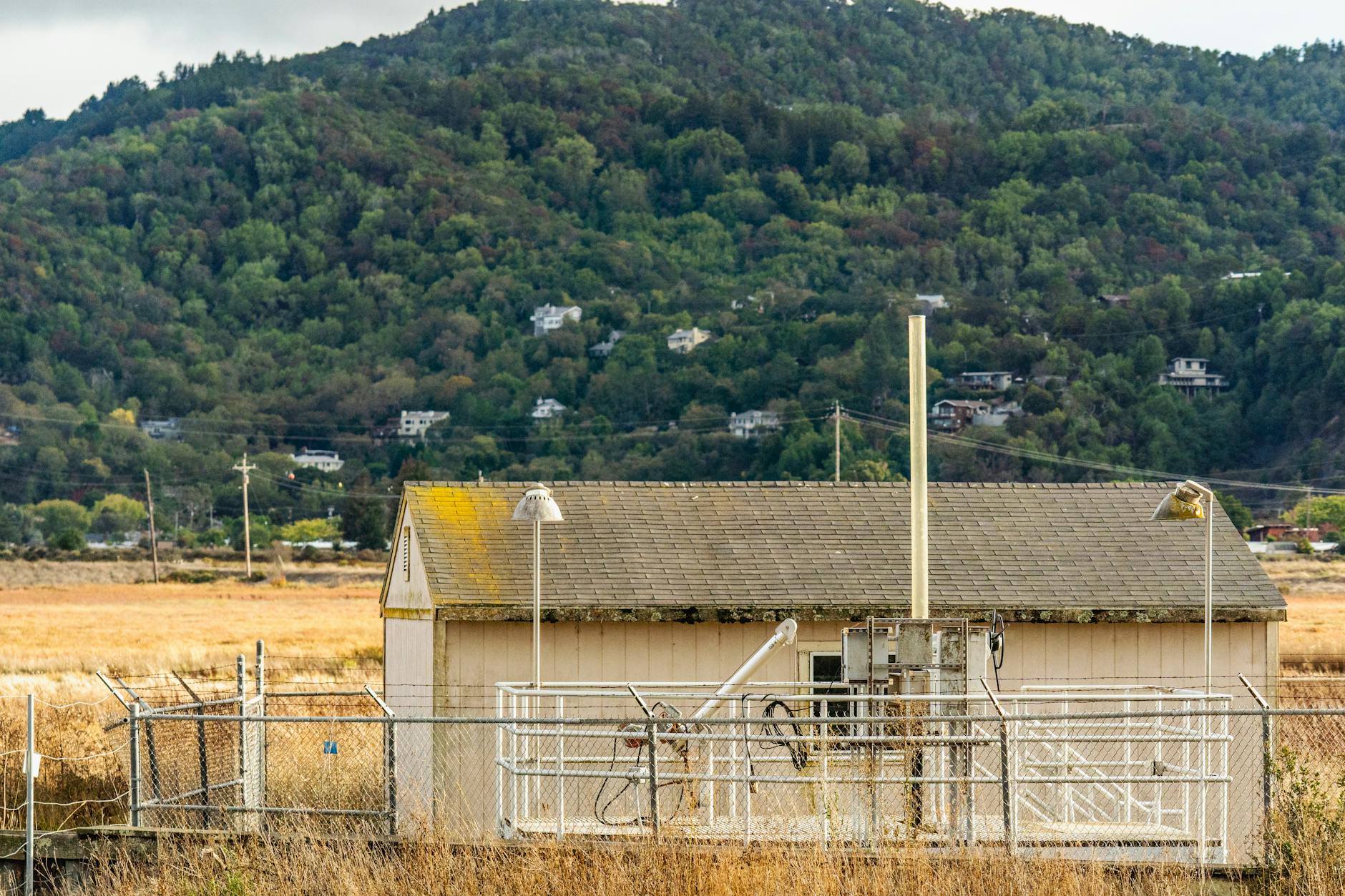 공익 선택 신청